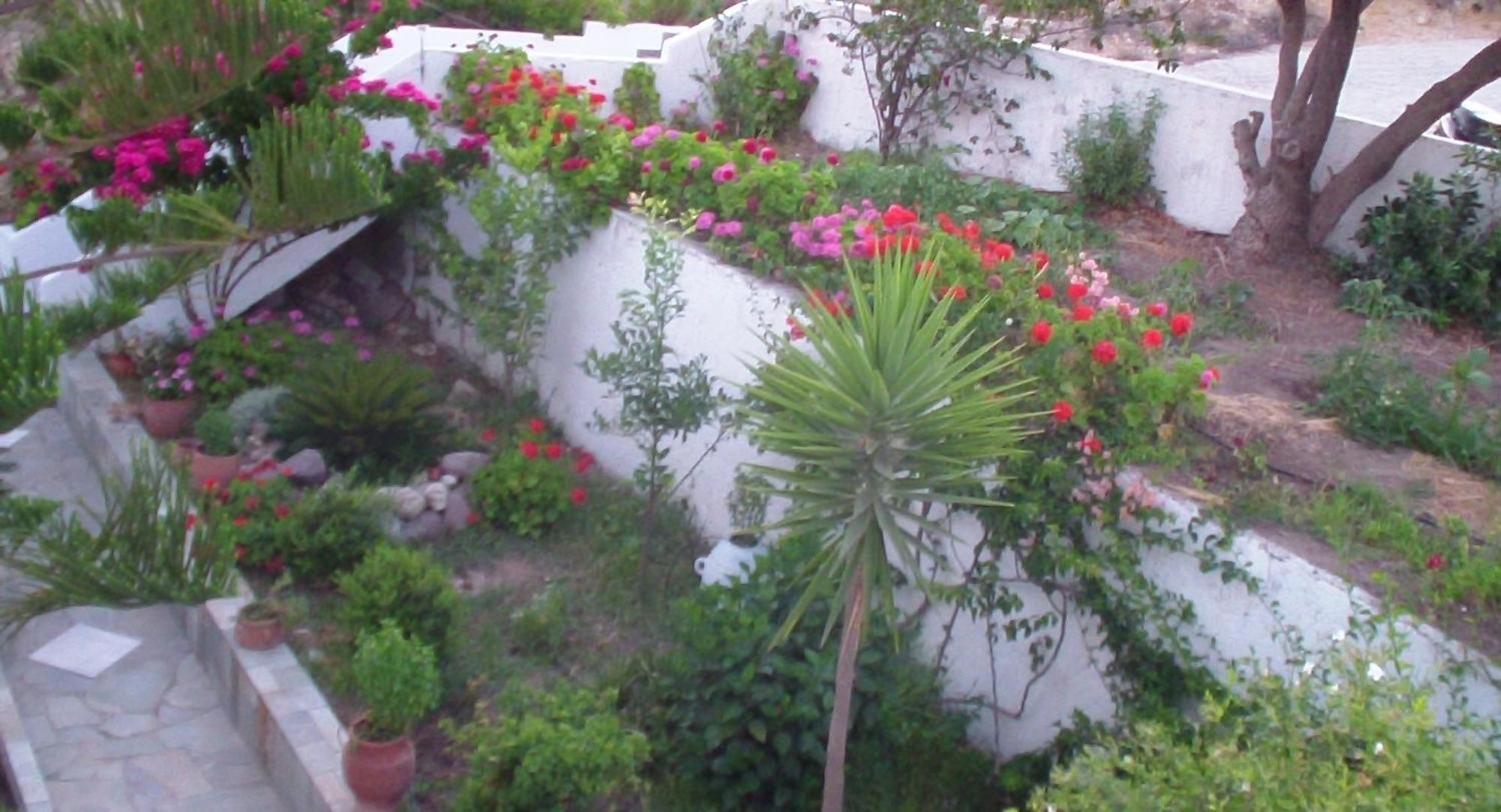 קפלוס Creta Vassakis Studios מראה חיצוני תמונה