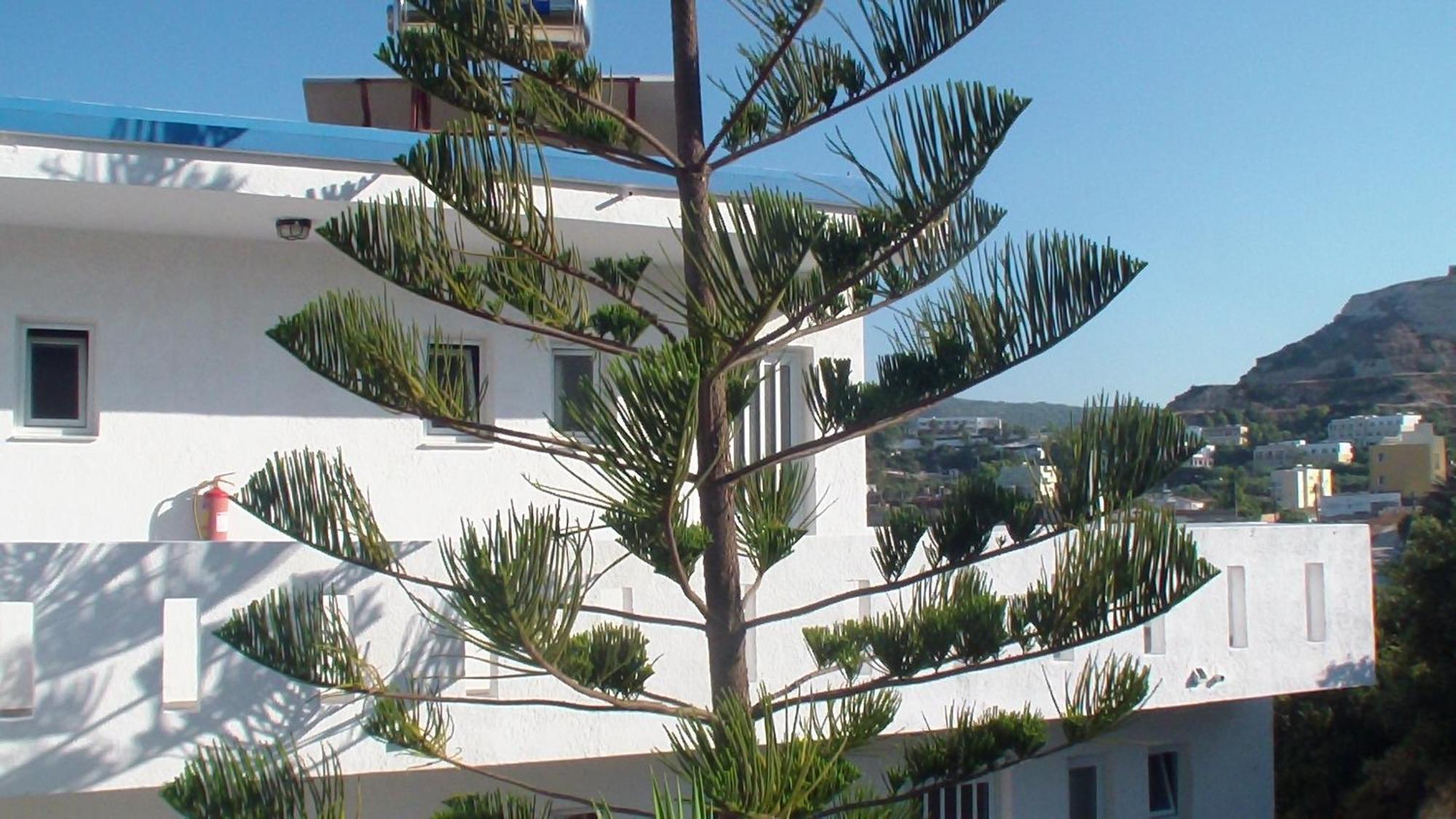 קפלוס Creta Vassakis Studios מראה חיצוני תמונה