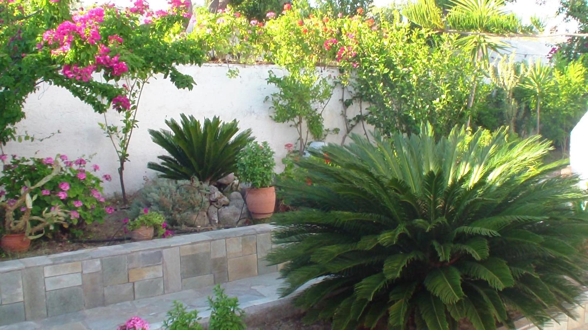 קפלוס Creta Vassakis Studios מראה חיצוני תמונה