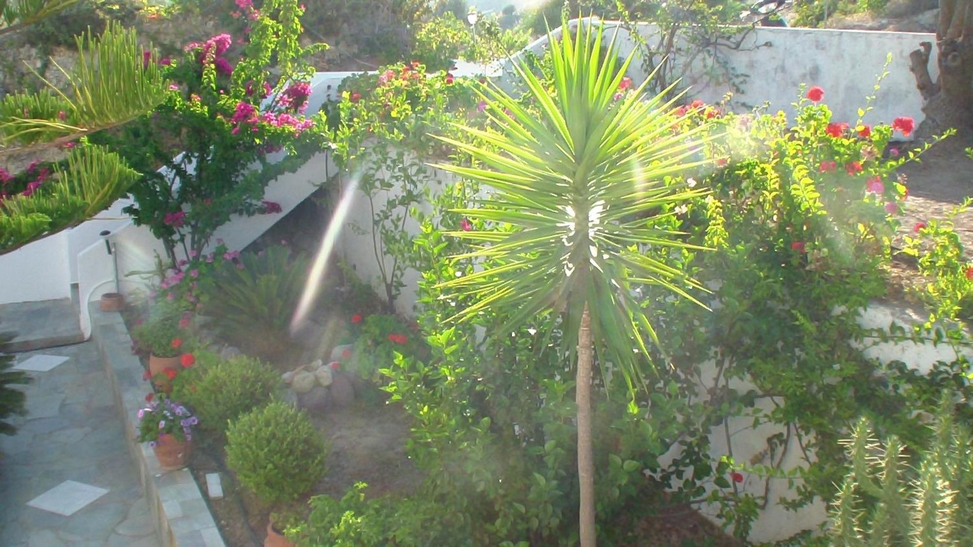 קפלוס Creta Vassakis Studios מראה חיצוני תמונה