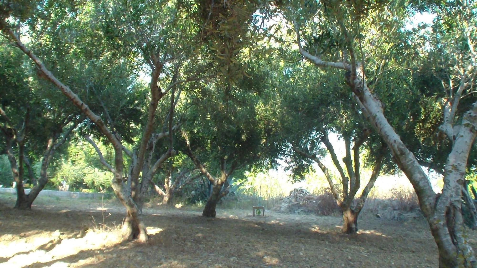 קפלוס Creta Vassakis Studios מראה חיצוני תמונה