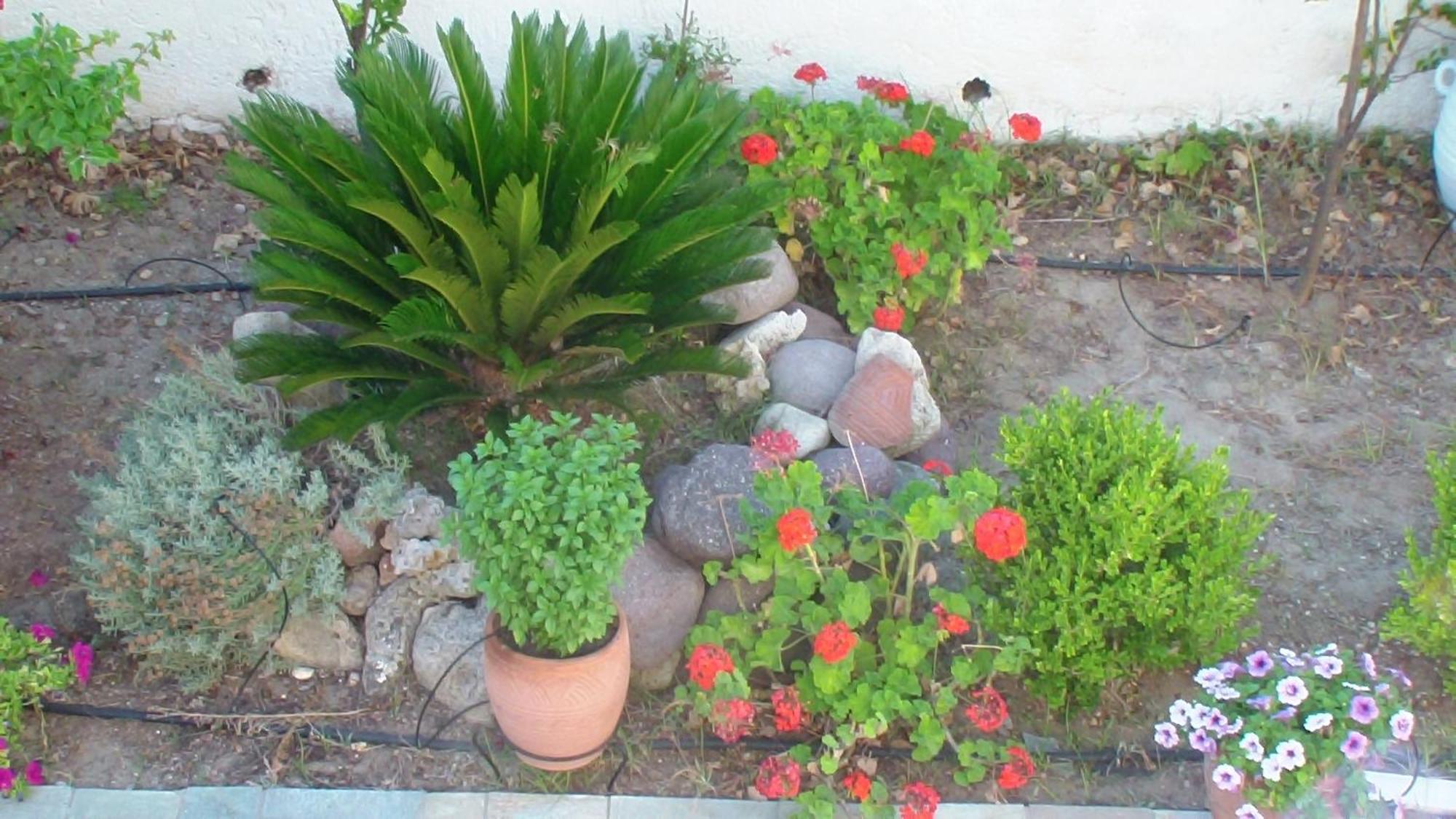 קפלוס Creta Vassakis Studios מראה חיצוני תמונה