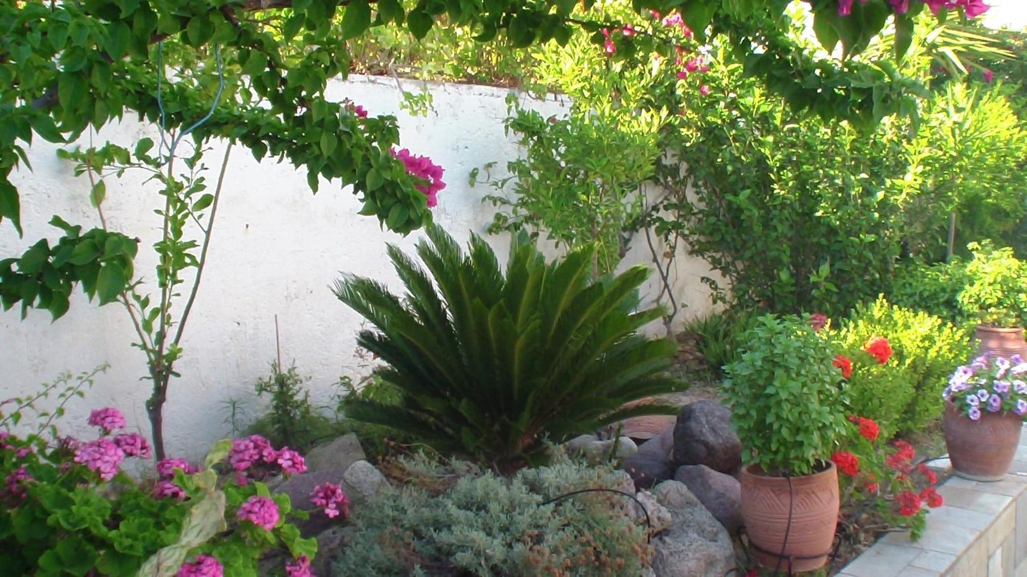 קפלוס Creta Vassakis Studios מראה חיצוני תמונה