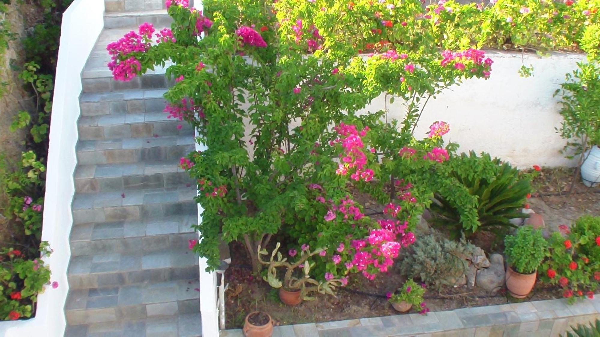 קפלוס Creta Vassakis Studios מראה חיצוני תמונה